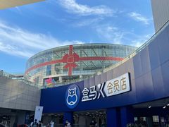 -盒马X会员店(王府井奥莱UP TOWN店)
