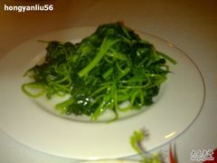 炒苋菜-天伦王朝酒店·盛华瑄餐厅