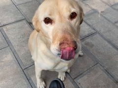 -如家旗下-西安高新区西部大道阳光城华驿酒店