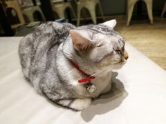 -小时光咖啡馆(开森度假森林店)