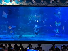 -烟台海昌鲸鲨海洋公园