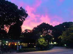 -上野公园花园稻荷神社(忍岡稲荷神社)