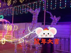-新五爱道夜市
