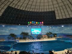 -泉城欧乐堡海洋极地世界