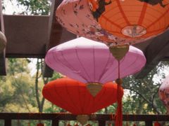 -深圳国际园林花卉博览园