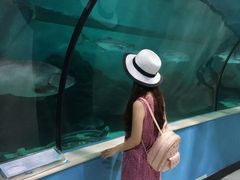 -苏州海洋馆