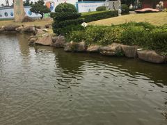 -惠和石文化园