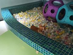 -太阳岛度假酒店