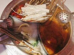 -钢管厂五区小郡肝串串香火锅(人民广场店)