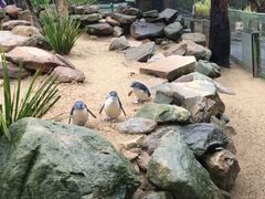 -费瑟代尔野生动物园