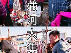 -蒲河大集