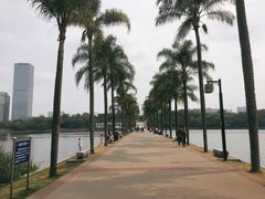 -南宁南湖公园