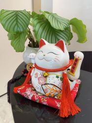 -Fundi张玉珊修身堂·indiba·BTL科技瘦身
