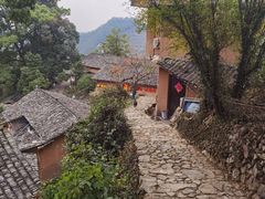-杨家堂村