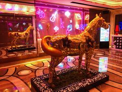 大堂-纯K(哈西店)