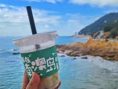 -南澳岛打卡果汁冰公司