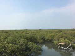 -北海金海湾红树林生态旅游区