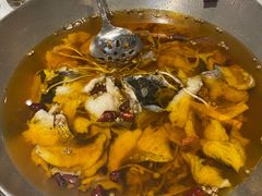 水煮有机鳙鱼-香丰阁·烤鸭·川湘菜(清河店)