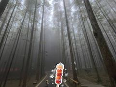 -山王坪喀斯特国家生态公园