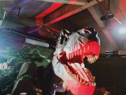 -恐龙探索乐园(磁器口店)