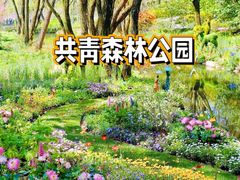 -上海共青森林公园