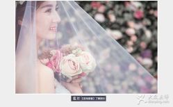 点击看大图 -金夫人婚纱摄影