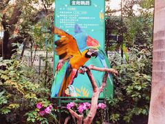 -广州长隆飞鸟乐园
