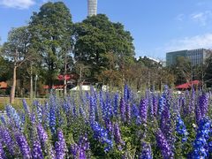 -二沙岛艺术公园