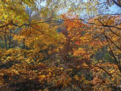 -三块石国家森林公园