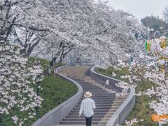-杭州少年儿童公园