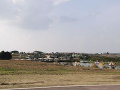 -空港花田景区