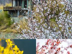 -九如山休闲旅游度假区