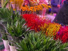-花鸟鱼虫鲜花绿植市场(玉泉路店)