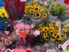 -越秀西湖花市(广州城市广场花卉店)