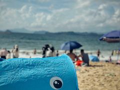 -大梅沙海滨公园