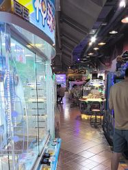 -卡通尼乐园(上海安亭店)