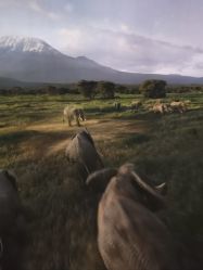 -翱翔飞越地平线