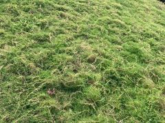 -苏州太湖国际会议中心