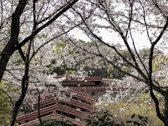 -中国茶叶博物馆(双峰馆区)