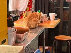 -颓记茶餐厅(美景总店)