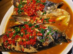 千岛湖野生有机鱼-丰乐餐厅·始于1999·本地老字号