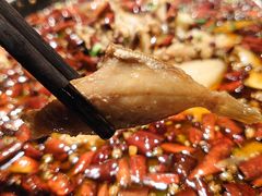 -成都娃娃花园餐厅 (南艺旗舰店)