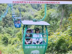 -西双版纳原始森林公园