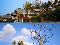-狼牙山风景区