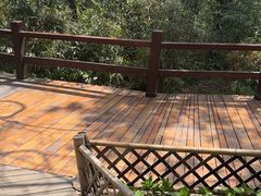 -普陀山慧济禅寺