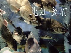 -喜运来酒楼(江南大道店)
