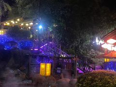 -崇阳三特浪口温泉