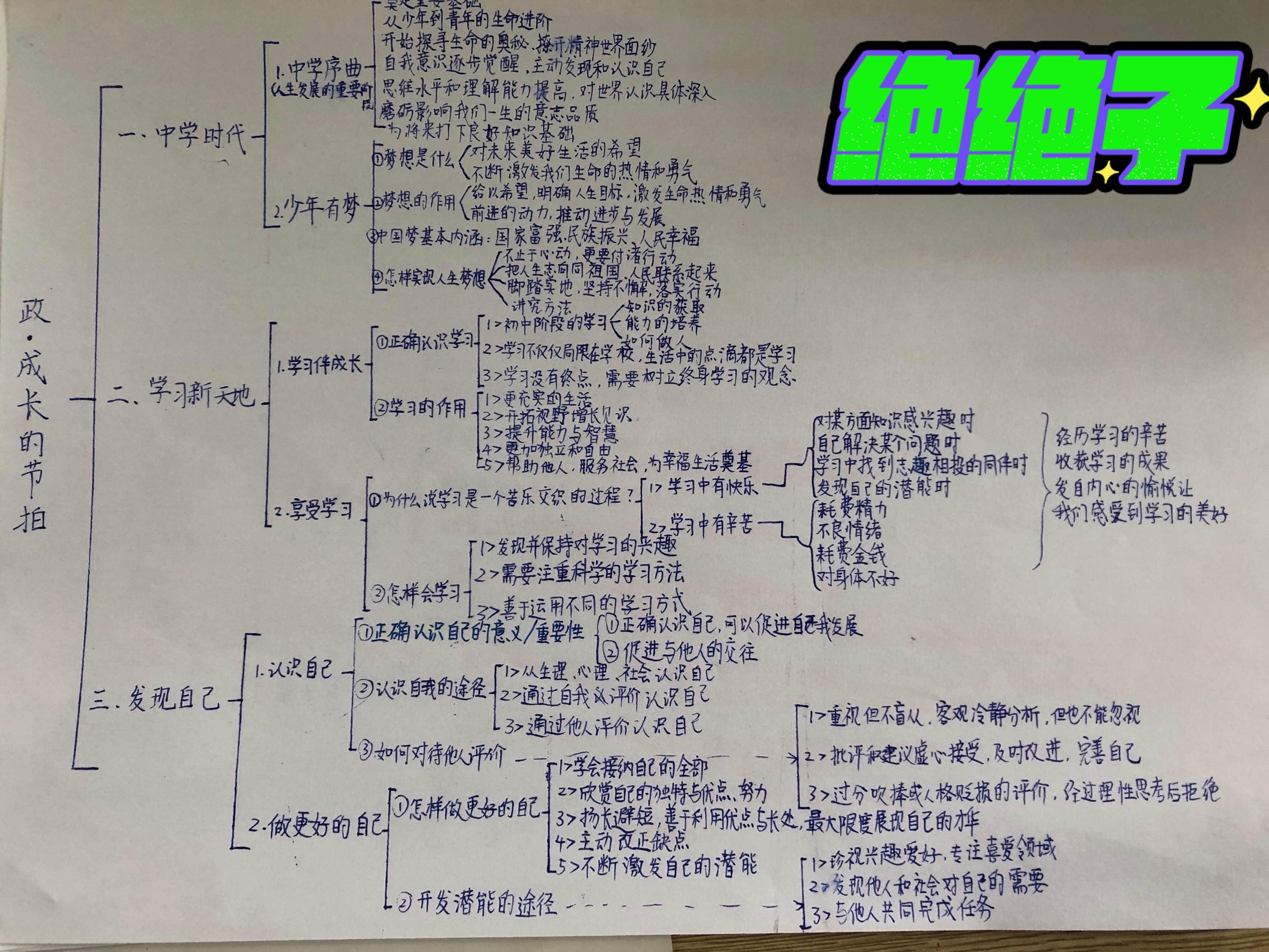 家的意味政治思维导图图片