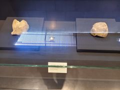 -北京周口店北京人遗址博物馆