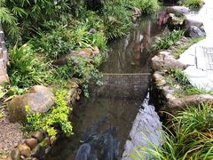 -万景饭店·鱼街农家菜